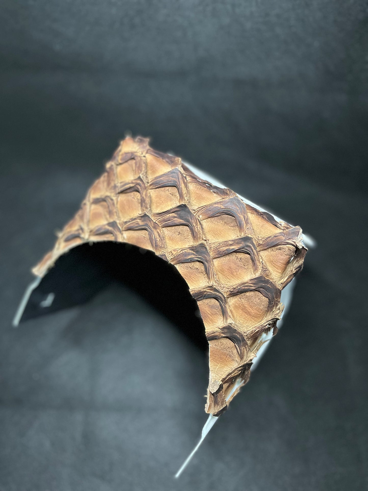 White hood with a pirarucu top bib