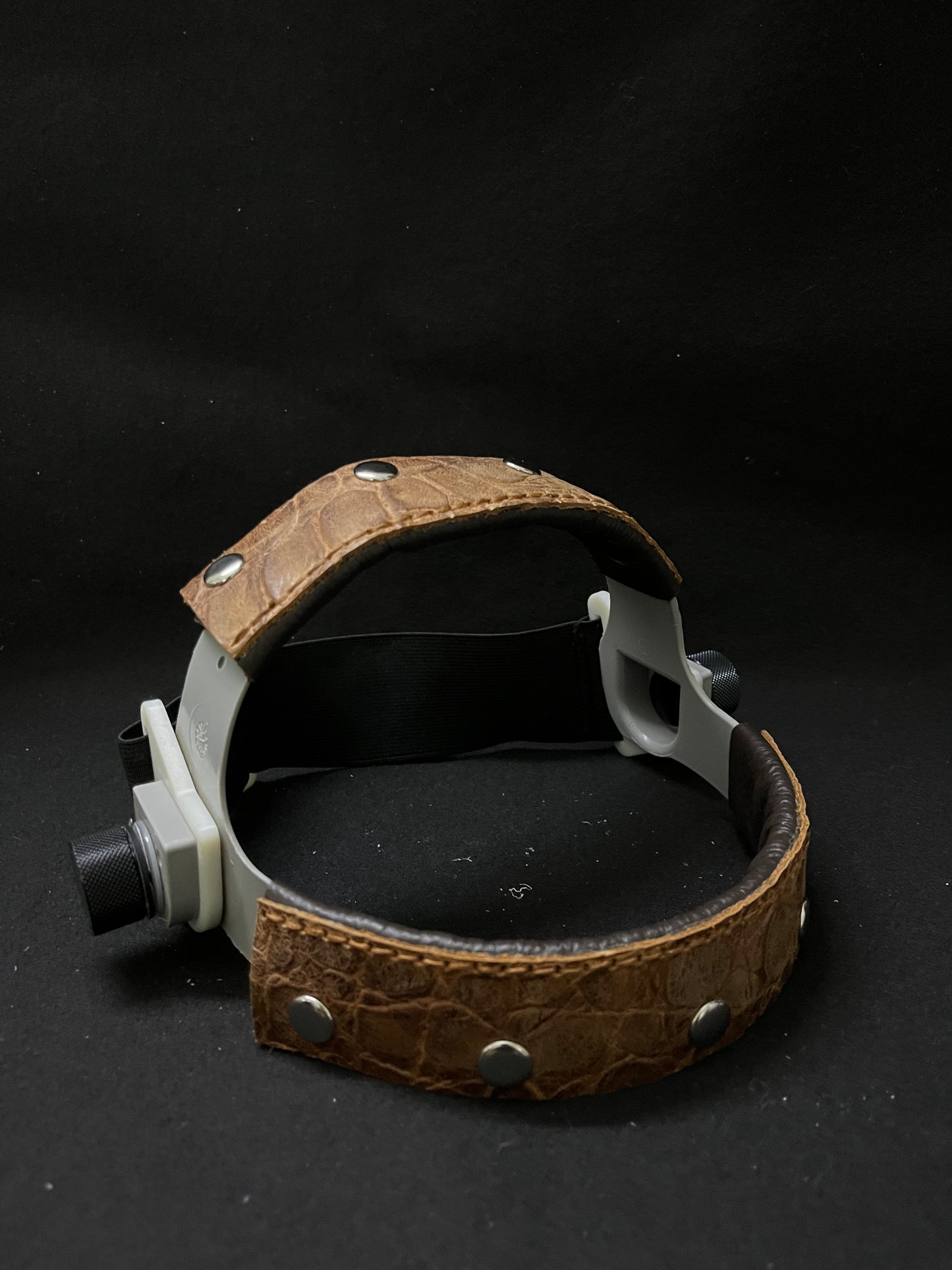 A set of turtle print headbands